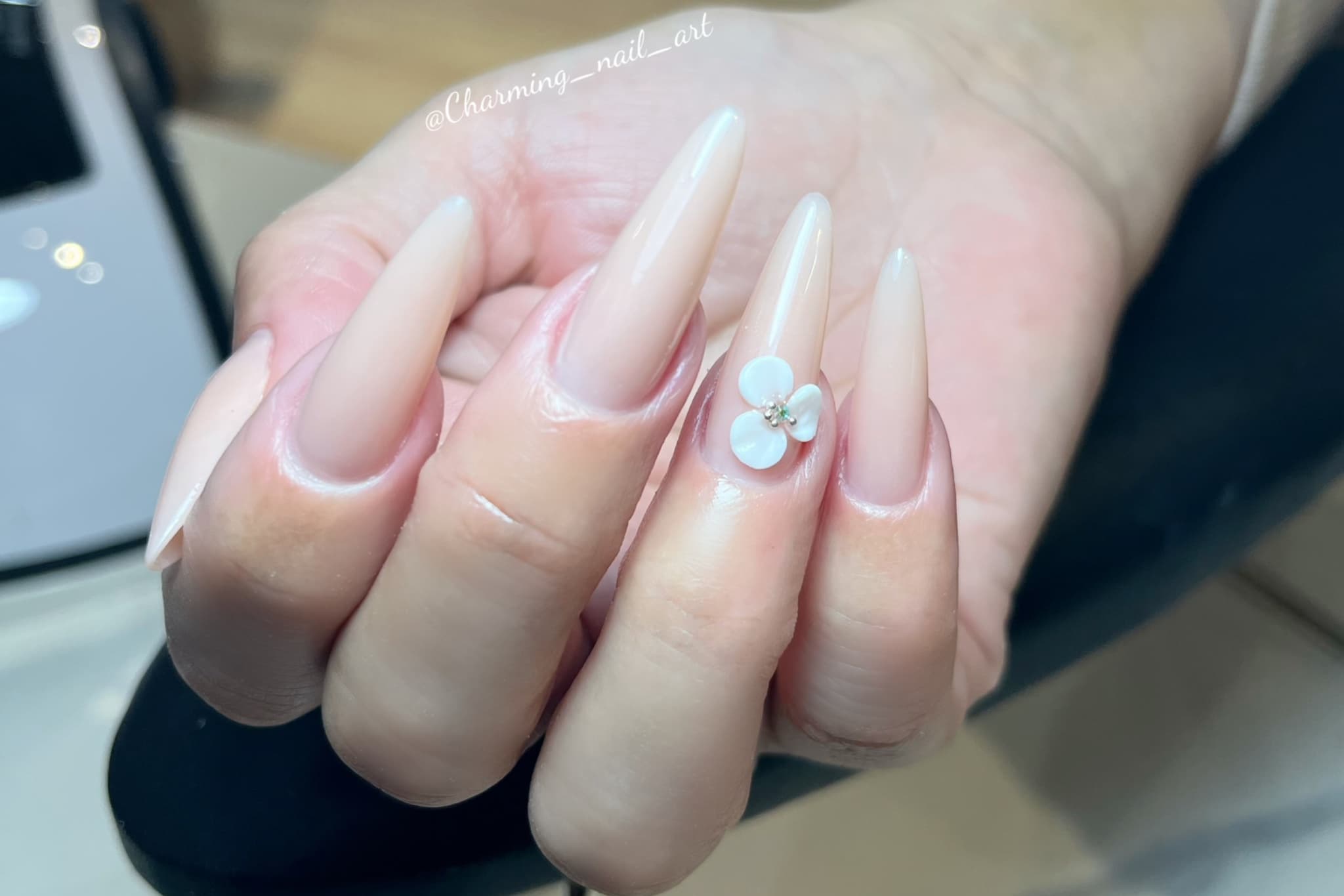 Charming Nail Art салоны зураг 22